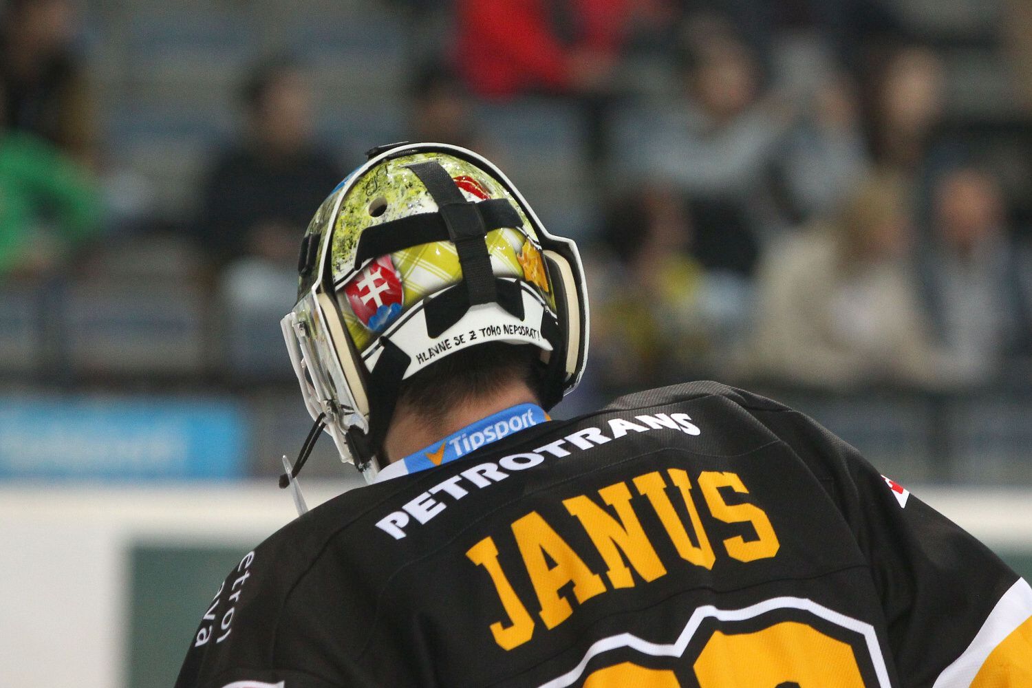 Jaroslav Janus, HC Verva Litvínov (2015-16)