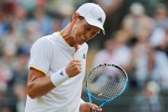 Čest českého tenisu visí na Berdychově zdraví. Hrozí wimbledonská ostuda