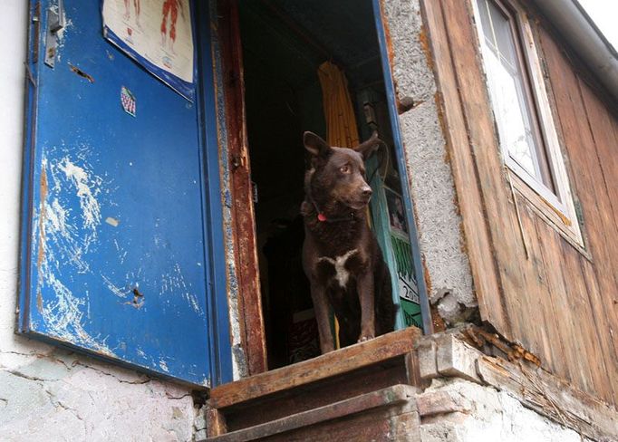 Buďánka vznikla počátkem 19. století. Obyvateli Buďánek v té době byli drobní řemeslníci, nádeníci z okolních vinic, dělníci z blízkého pískovcového lomu i košířská galerka.