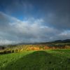 Krkonoše, KRNAP, národní park, hory, Česko, domácí, příroda