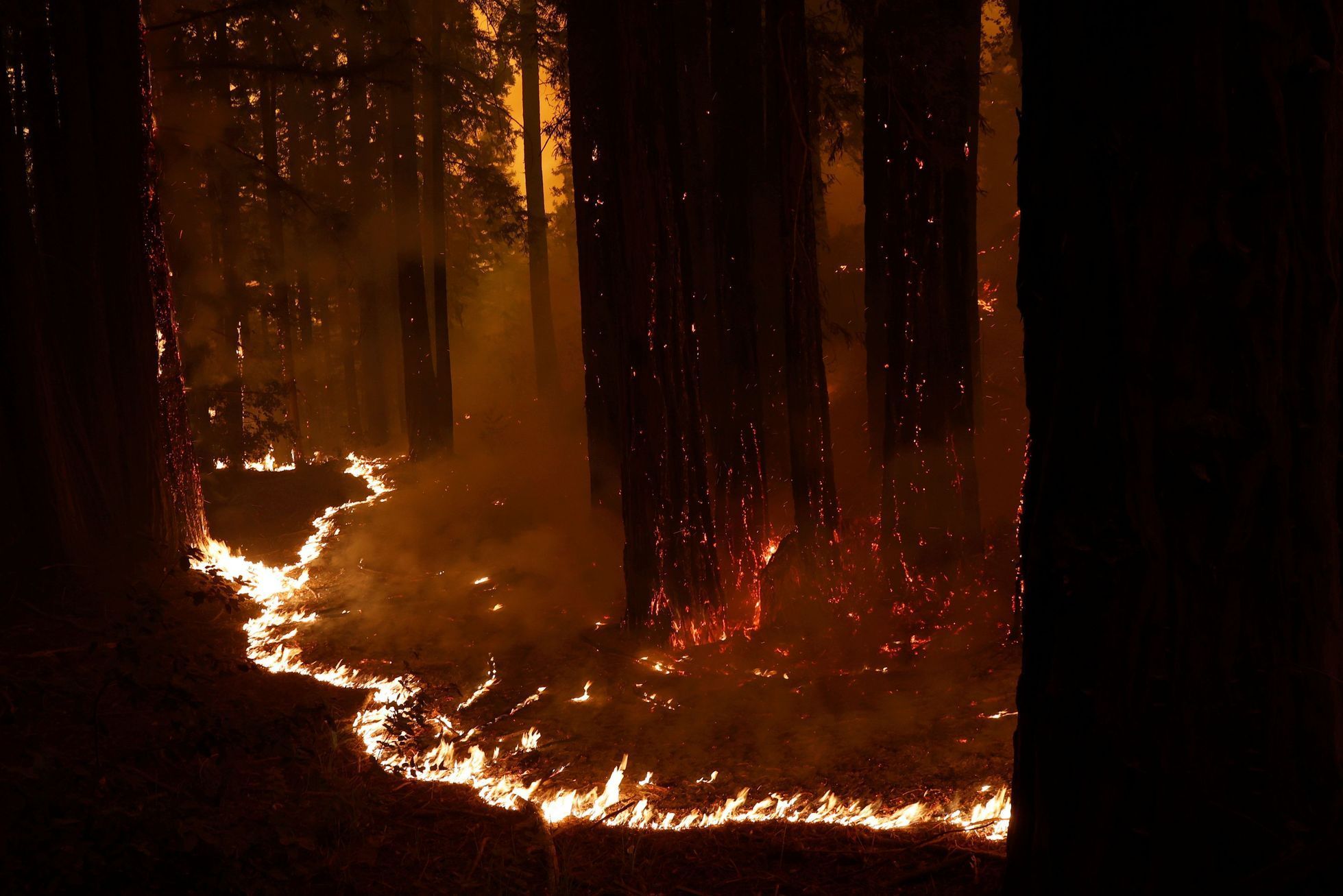 kalifornie požáry