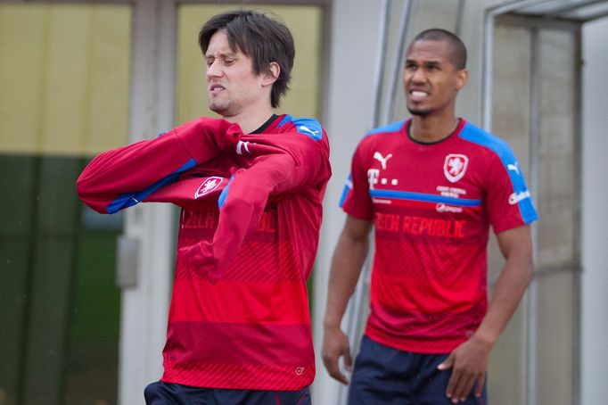 Tomáš Rosický, Theo Gebre Selassie