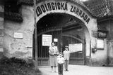 Vchod do zoo (kolem roku 1958). V počátcích fungování se do zoologické zahrady vcházelo z tehdejší ulice Z. Nejedlého (dnes Štefánikova). Dnes je tento vchod opatřen automatickou bránou a slouží pouze pro provozní účely zoo.