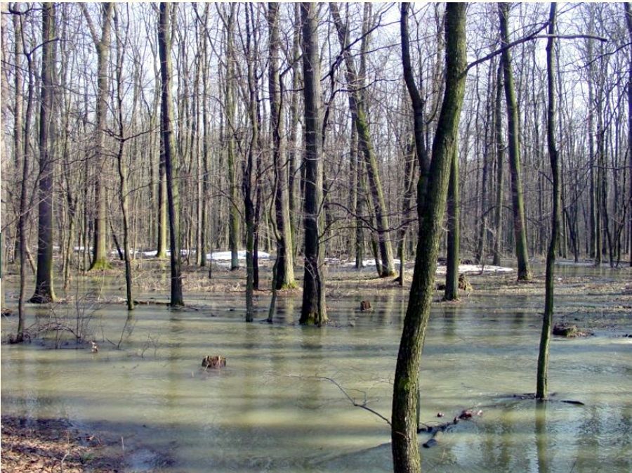 Krajina Poodří