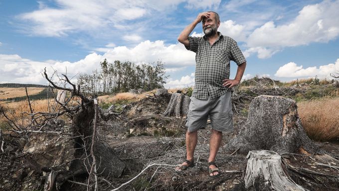 Kůrovcová kalamita ničí české lesy. Je tu ale i naděje na změnu.