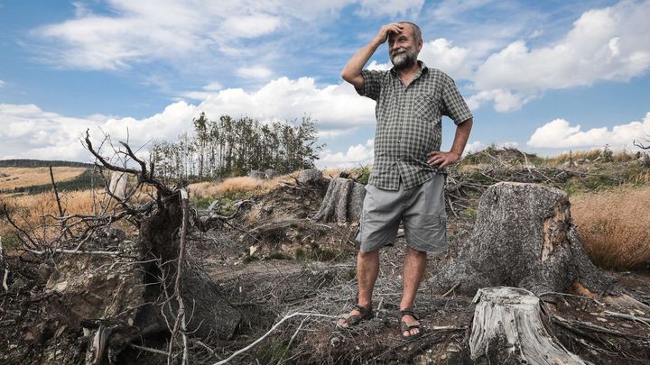 Česko po kůrovci? Ztichlé pláně Jeseníků jsou oknem do budoucnosti i nadějí na změnu