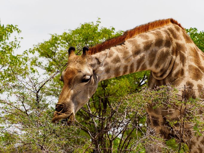 Jaroslav Hora, vítěz soutěže Travel Photographer of the Year: Namibie