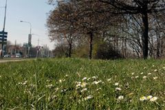 Prague Letná plain not to have temporary tram bypass