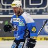 Play off extraligy ledního hokeje, Plzeň - Brno, semifinále číslo 5