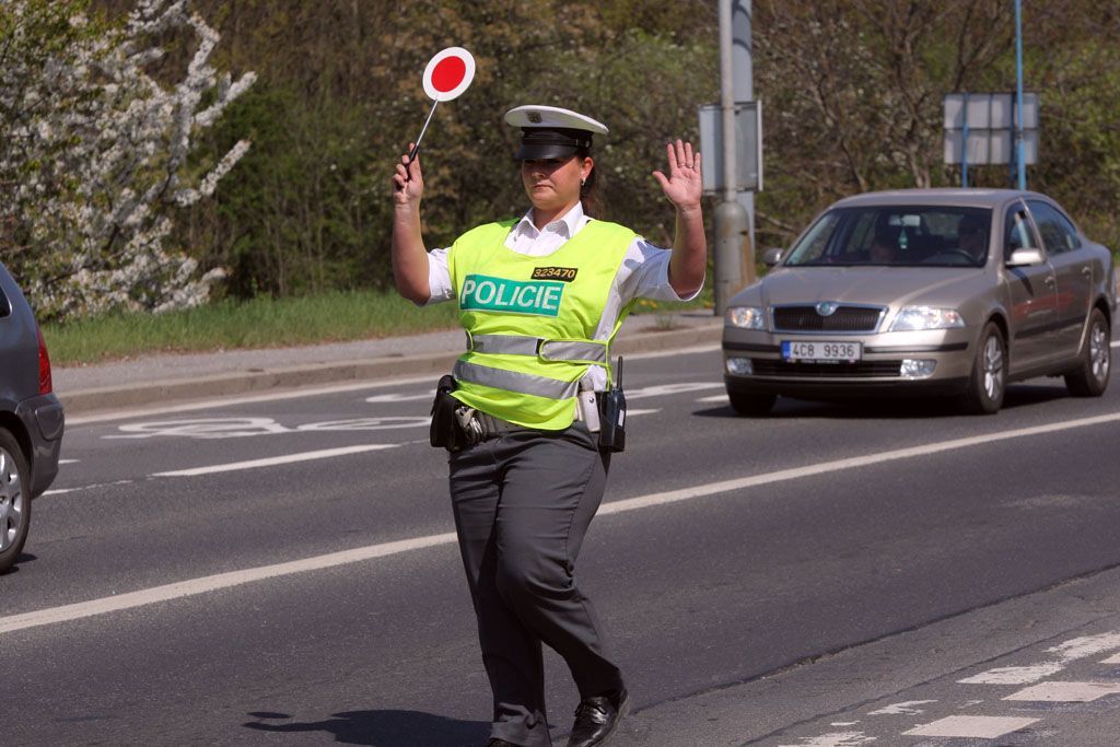 Policejní hlídka