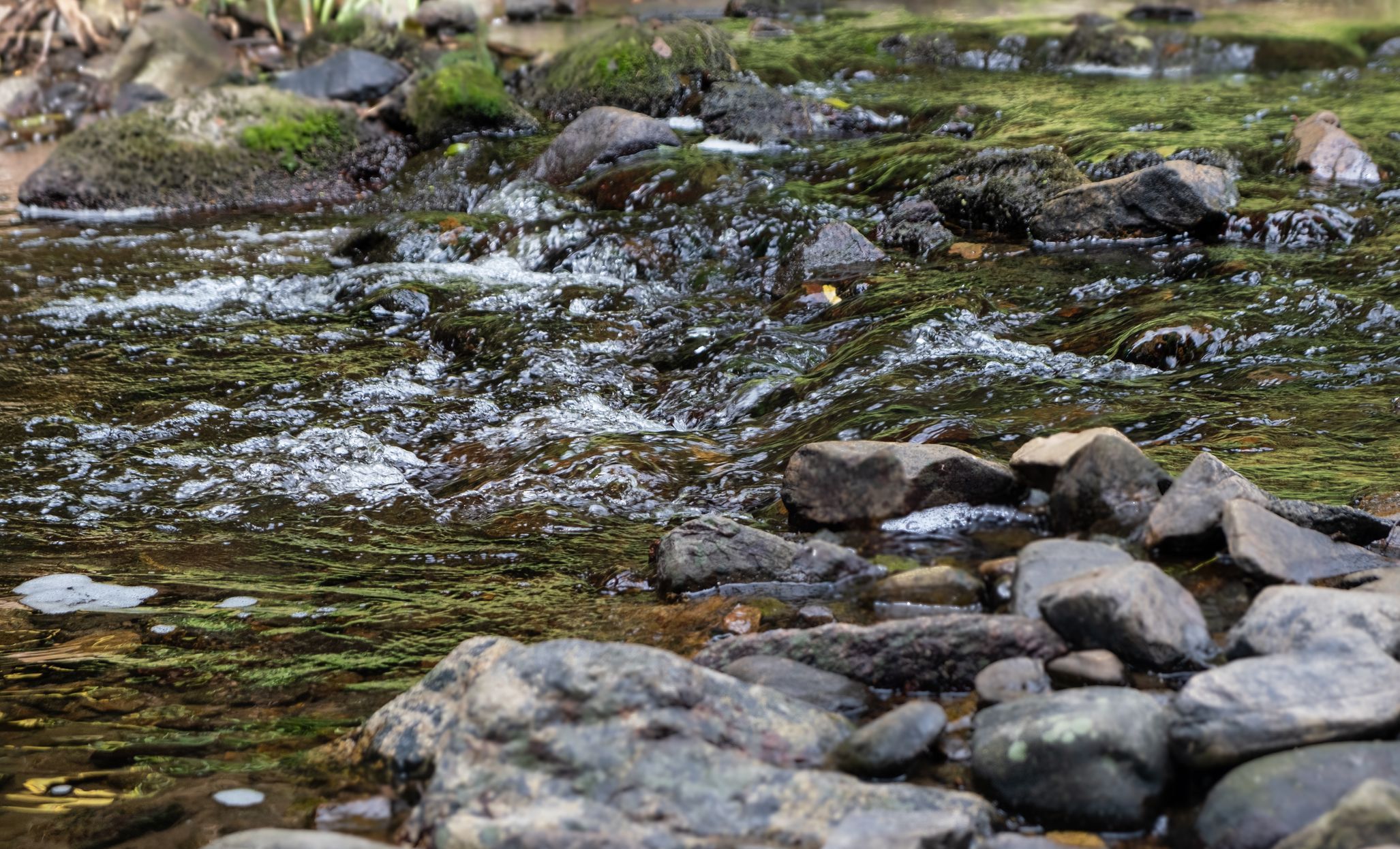 Údolí řeky Bobrovky