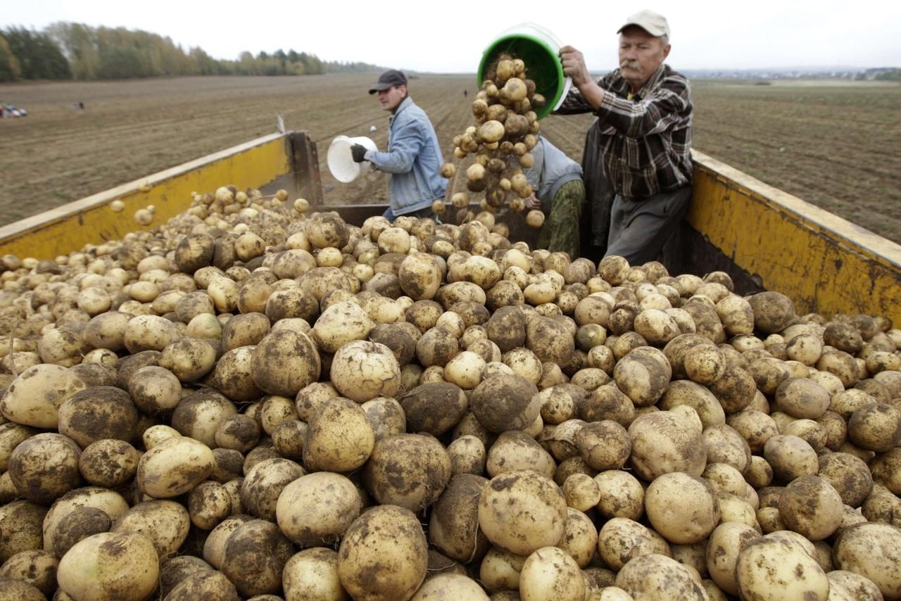 Foto: Krize a barterový obchod