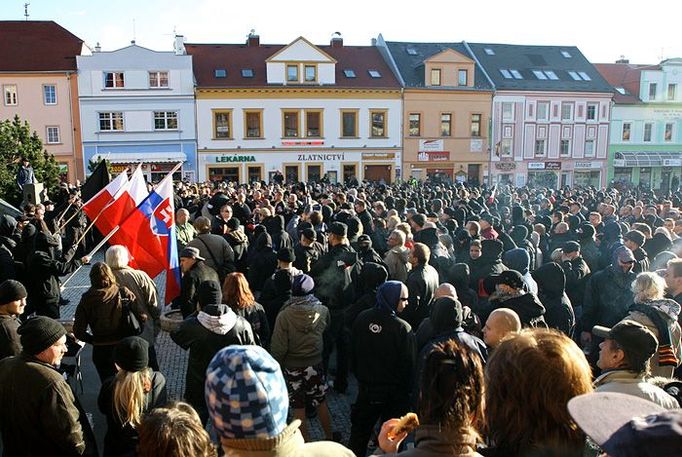 V zaplněné horní polovině náměstí naslouchali proslovům nejen sympatizanti Dělnické strany (DS), ale také běžní obyvatelé Litvínova. Předseda DS Tomáš Vandas mj. prohlásil, že se Česko stává "žumpou" a že by nemělo být "útočištěm pro všechny migranty z celého světa".