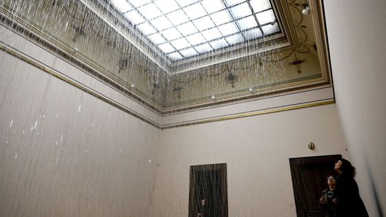 Fragilités, Galerie Rudolfinum, 2022