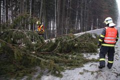 Po pádu stromu do silnice se těžce zranili dva dělníci