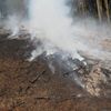 Požáry lesního porostu na Náchodsku a Rychnovsku
