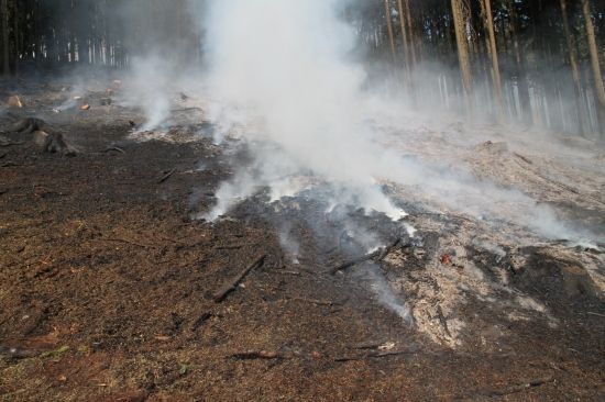 Požáry lesního porostu na Náchodsku a Rychnovsku