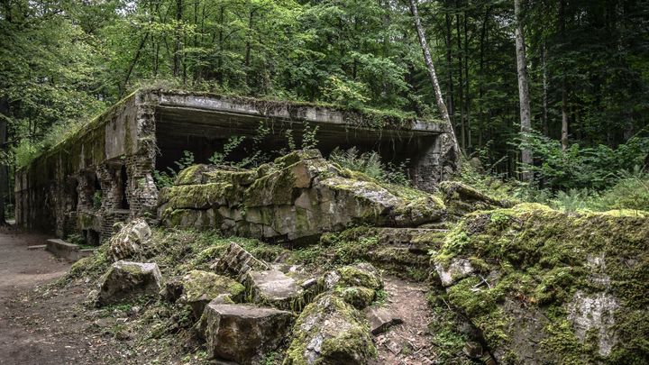 Polish researchers discovered the remains of five people in Göring's house in the Wolf's Den; Photo source: Shutterstock