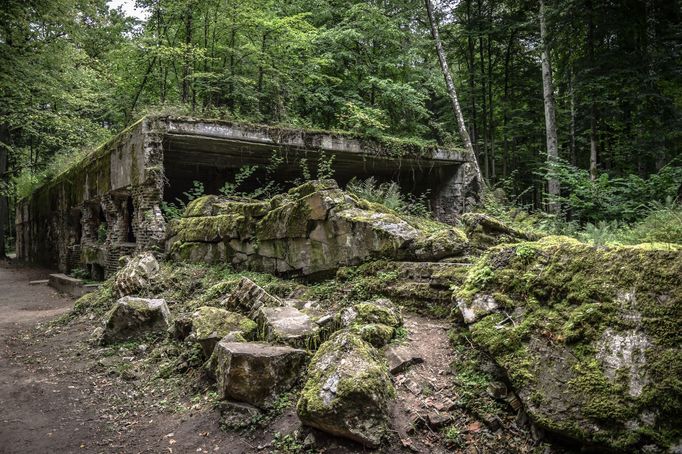 Vlčí doupě je kódové označení pro Vůdcův hlavní stan, který se nacházel u města Kętrzyn v dnešním Polsku. V komplexu budov měl svůj dům i Hermann Göring.