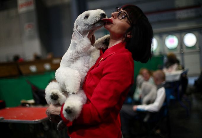 Crufts Dog Show (Birmingham)