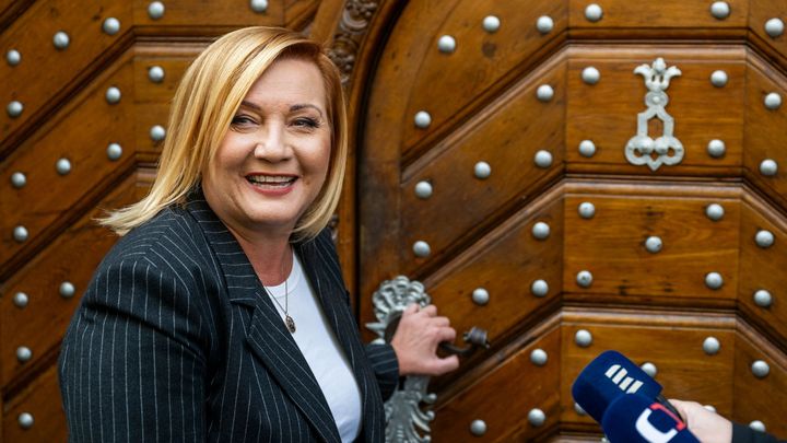 Tak jak dál s tímhle ministerstvem? Na čem se ANO, SPD a Motoristé (ne)shodnou; Zdroj foto: ČTK