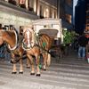 Foto: V Praze se spolu utkali výčepní na tradičním závodě Pinkasova noční můra