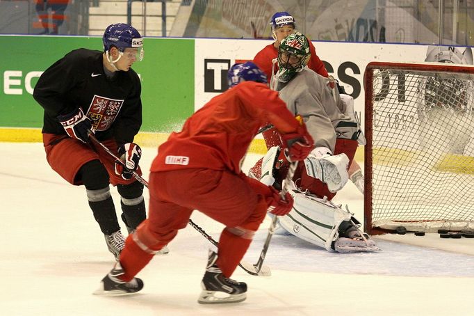 Hokej, MS 2013, český trénink: Alexander Salák