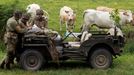 Few days before the 75th anniversary of the allied landings on D-Day, history enthusiasts read a map on a vintage jeep during a re-enactment of D-Day landings