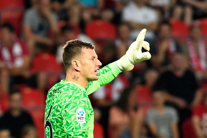 Jan Laštůvka v dresu Slavie