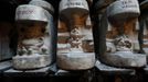 Moulds for character jugs stand on a shelf in a storeroom at the Middleport pottery in Stoke-on-Trent, central England January 22, 2013. The pottery which dates back to 1888 and was rescued from closure in 2009, continues to use traditional methods to produce its range of ceramics and famous Burleigh Ware pottery. REUTERS/Phil Noble (BRITAIN - Tags: BUSINESS EMPLOYMENT SOCIETY) Published: Led. 22, 2013, 5:07 odp.