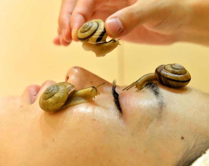 Snails crawls on the face of a woman for the demonstration of a new beauty treatment at the beauty salon "Ci:z.Labo" in Tokyo on July 13, 2013 as the salon will start the new service from July 15. "Slime from snails helps remove old cells, heal the skin after sun burn and moisturise it," said Manami Takamura, a beauty salon employee, as she placed three gastropods on a woman's face.