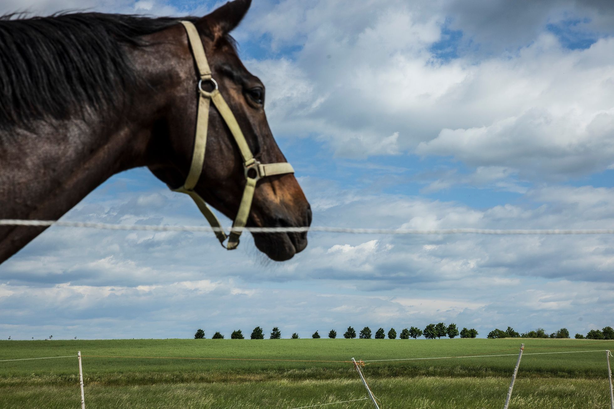 Milan Jaroš, Týdeník Respekt, Top foto 2022, TOP fotografie za rok 2022, Economia, fotograf