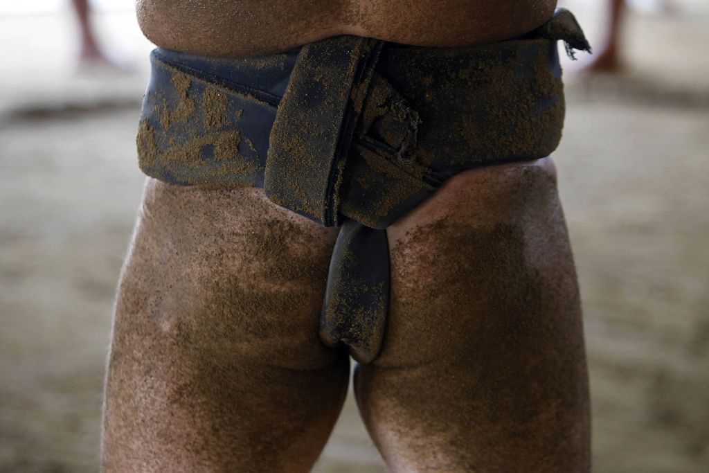 Japonští sumo na "letním táboře"