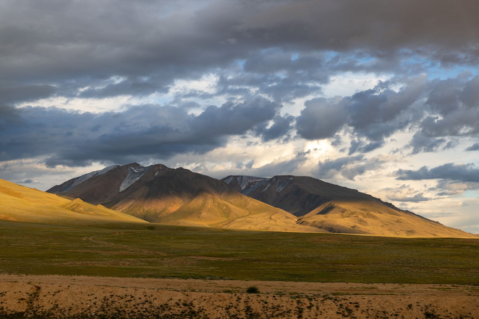 Dan Přibáň Žlutá žába