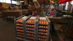 Fotogalerie: Průmyslová výroba velikonočních vajíček