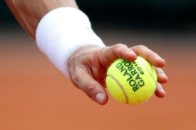 David Ferrer na French Open 2018