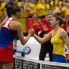 Plíšková vs. Halepová, Fed Cup, Česko vs. Rumunsko