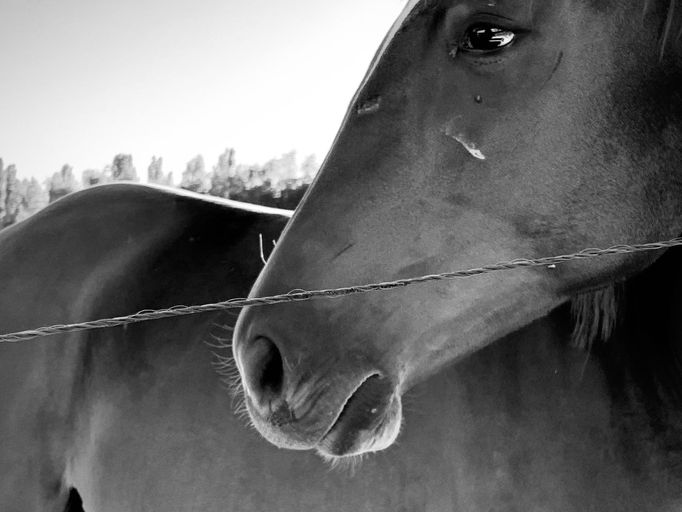 Sony World Photography Awards 2020 - ukázky z nového ročníku soutěže