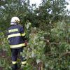 Bouřka lámala stromy a trhala střechy