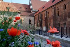 Anežka žije! Zahrada kláštera v centru Prahy nabídne v létě film, divadlo i sport