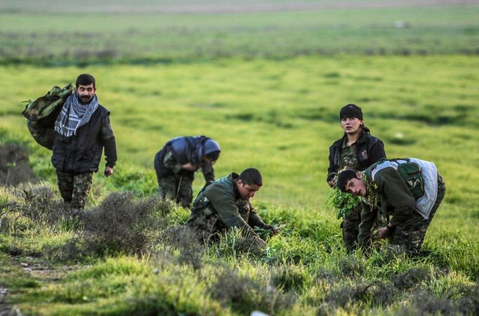 Fighters of the Kurdish People's Protection Units (YPG) pick plants for food in the southern Ras al-Ain