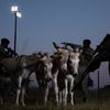 Vítězné snímky ze soutěže Environmental Photography Award 2024