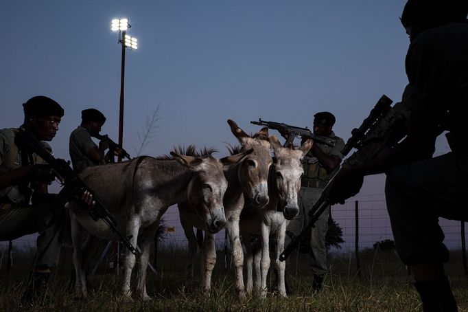 Vítězné snímky ze soutěže Environmental Photography Award 2024