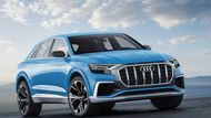 Audi Q8 - Německé luxusní automobilce Audi dosud chyběl model, který by se dokázal postavit oblíbenému SUV-kupé BMW X6. Změnit to má Audi Q8. Na výběr budou naftové a benzinové motory, jež později doplní i hybridní varianta s možností dobíjet baterie ze zásuvky. Chystá se i sportovní model SQ8, jenž by se měl představit do konce roku.