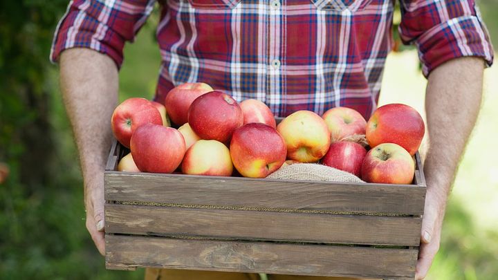 Jablka se vyhoupla na rekordních 50 korun za kilo. Kvůli pandemii i nízkým zásobám