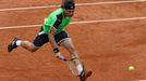 Tenis, French Open, finále: David Ferrer