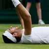 Wimbledon 2013 (Juan Martin del Potro po čtvrtfinále)