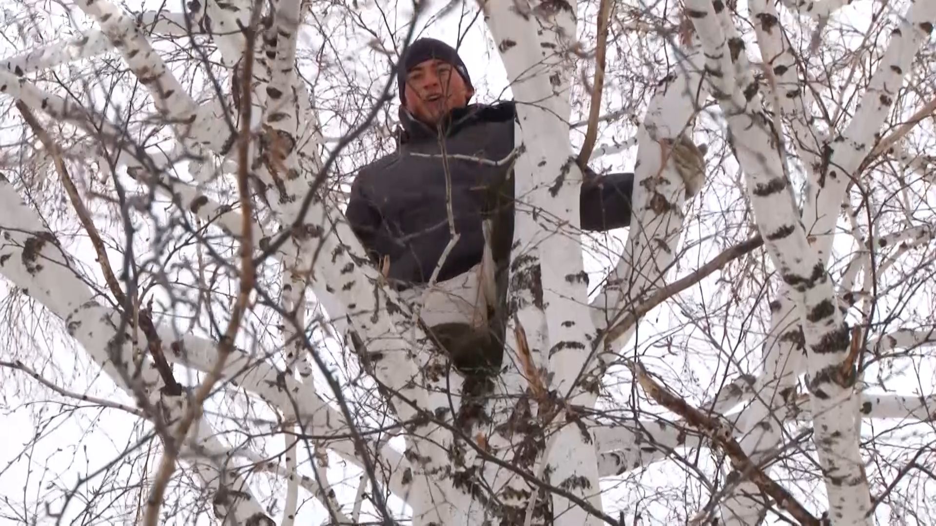 RFE - Ruský student vylezl na strom kvůli internetovému signálu