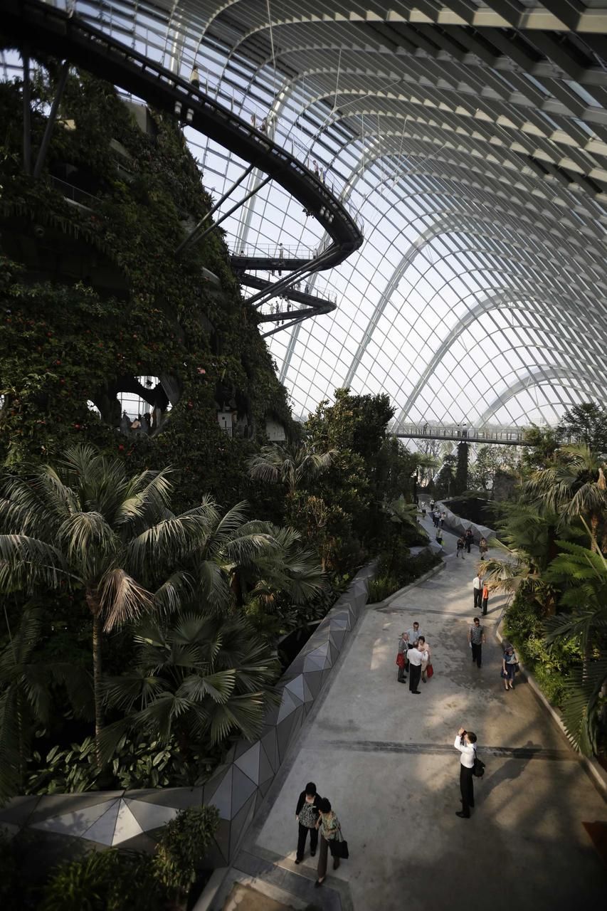 Obrazem: V Singapuru postavili pozoruhodné zahrady