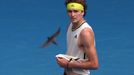 Australian Open 2021, 1. den (Alexander Zverev)